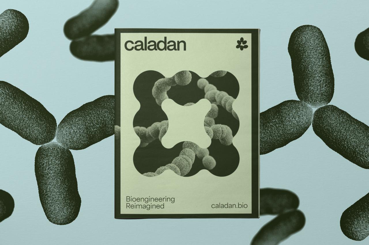 Caladan - Mast