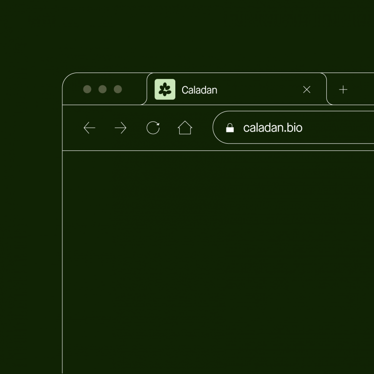 Caladan - Mast